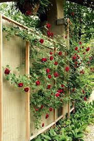 Hope And Honey How To Make A Custom Rose Trellis Diy Garden Trellis Trellis Plants Diy Trellis
