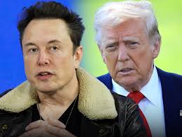 Elon Musk Deletes Epstein Post, President Trump Turns Down Heat