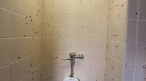 Maybe you would like to learn more about one of these? Shower House Picture Of East Harbor State Park Marblehead Tripadvisor