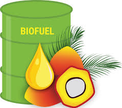 Pro And Cons Of Biofuels Energy Systems