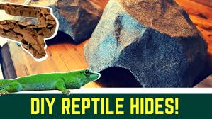 Check spelling or type a new query. Diy Snake Hide How To Guide Video Animals At Home