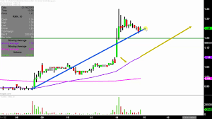 Rexahn Pharmaceuticals Inc Rnn Stock Chart Technical