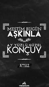 Pin On Turkculuk Icin