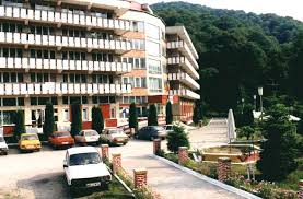 Asezata la poalele muntilor codru moma, hotelul moneasa ,perla statiunii moneasa, dispune de 9 camere duble, apartamente, single, matrimoniale si twin, 3 sali de conferinte (20, 30, 150 locuri), restaurant cat.i, baza de tratament. Virtual Moneasa Arad Romania