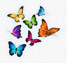 In this video, i'm coloring a cute butterfly drawing. Flying Butterflies Animal Vinyl Carpet Colour Butterfly Drawing On Wall Png Flying Butterfly Png Free Transparent Png Images Pngaaa Com