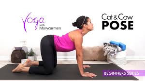 Cow cat is one of the normal cats , and a fast cat in both attacking and speed. Yoga With Marycarmen Cat Cow Pose Yoga For Beginners Bidalasana Bitilasana Correct Cat Cow Youtube