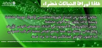 صورة لماذا أوراق النباتات خضراء Chemistry Periodic Table