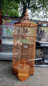 Harga sangkar branjangan segi 8. Jual Sangkar Branjangan Segi 8 Kota Tangerang Irfan Sangkar Poris Tokopedia