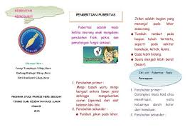Hidup Sehat Leaflet Kesehatan Reproduksi Remaja Kesehatan Remaja Bagian Tubuh
