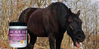 Smart earth seeds is the global leader in camelina oil production. Best Supplements For Horses With Heaves Equiniction