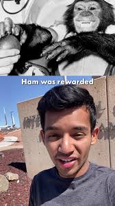 The Story of Ham, the first Astrochimp #funfacts #space #nasa #history #fypシ