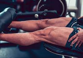 Check spelling or type a new query. Anatomy Of The Quadriceps Muscles