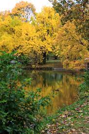 Peak Leaf Peeping Season Is The Perfect Time To Visit Albany County Learn About The Top Spots In Albany County For Fall Folia Fall Foliage Leaf Peeping Albany