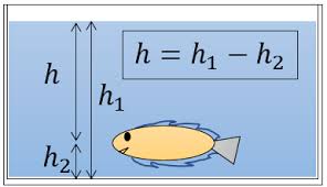 Perhatikan data zat aditif produk makanan berikut! Contoh Soal Tekanan Hidrostatis Dan Pembahasan Pada Berbagai Kasus Gammafis Blog