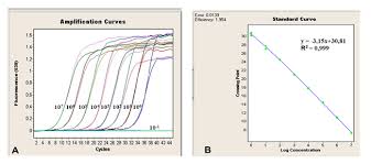 Estandarizacion De Un Ensayo De Rt Pcr En Tiempo Real Basado En Sybr Green I Para La Deteccion Del Virus De La Influenza Equina