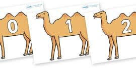 G c so go, alice, go. Alice The Camel Powerpoint Teacher Made