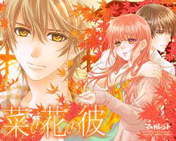 nanohana no kare 菜の花の彼 ナノカノカレ by tekkotsu saro toumori miyoshi 菜乃花的他 桃森ミヨシ 铁骨サロ ナノカノカレ イラスト 少女コミック