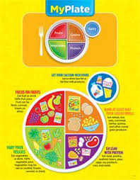 Adults are obese, and that number isn't dropping. My Plate Poster Chart Nutrition Recipes Healthy Eating Habits Healthy Food Choices