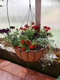 Every year a make my hanging baskets for the front porch. Kirchers Flowers Florist In Defiance Ohio Oh Ohio Online Flower Shop