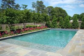 Tanning Ledge Swimming Pool Pool Landscaping Simple Pool Rectangle Pool