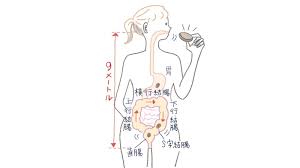 ヨガジャーナルオンライン
