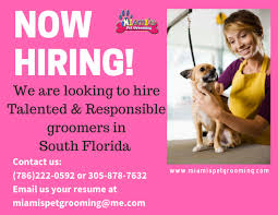 Just like humans, pets want to look their best. Miami S Pet Grooming On Twitter We Are Hiring Call Now