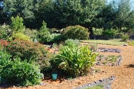 Tall grass in your butterfly garden would be just the ticket. Arnolds Butterfly Garden Florida Hikes