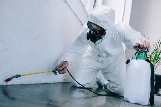 Pest control technician performing treatment