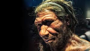 Did disease buy time before Neanderthal extinction?