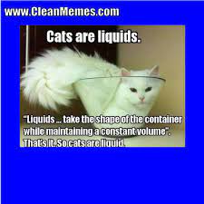 Cat avatar suit for every character to describe the moment. Cat Memes Page 16 Clean Memes