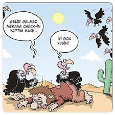 Kesin Swarm Karikatur Karikatur Kitabi Komik