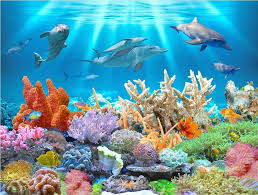 Download the perfect underwater pictures. Underwater 3d Wallpaper Underwater Dolphin Environment 1024x776 Download Hd Wallpaper Wallpapertip
