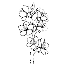 Speciale primavera con l'arrivo della bella stagione abbiamo realizzato questo speciale primavera per riepilogare alcuni dei disegni che potete trovare sul sito. Disegno Di Fiori Di Campagna Da Colorare Acolore Com