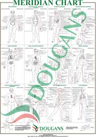 A1 Meridian Chart