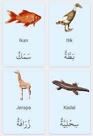Contoh hitungan adad tartibi dalam bahasa arab. Ikan Dalam Bahasa Arab Malaypada