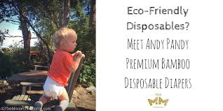 Eco Friendly Disposables Meet Andy Pandy Premium Bamboo