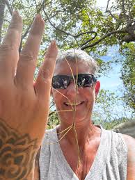 Walking Stick ❤️