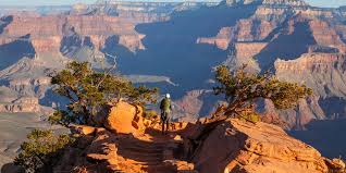 Grand canyon revolved around six residents from various backgrounds whose lives intertwine in modern day los angeles. What National Parks Are Open And Closed Due To Covid 10 Business Insider
