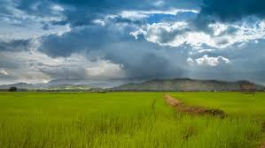 Image result for raining images on farms