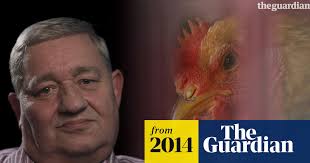 UK food watchdog admits chicken factory breached hygiene laws