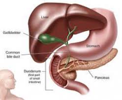Bajaj explained, we usually advise laparoscopic cholecystectomy to remove the gallbladder. Gallbladder Stones Surgery Treatment Laparoscopic Surgery By Specialist In Delhi Ncr Max Hospital