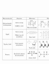 Bios 1083 worksheet 3 macromolecules i. Macromolecules Worksheet Answer Key Best Of Macromolecule Chart Biomolecules Macromolecules Organic Molecules Macromolecules Biology