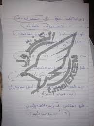 ، امتحان اللغة العربية من الساعة 10 صباحا وحتى الساعة 1 ظهرا. Sn Wrpsl5ri Gm