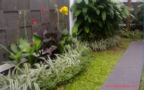 Taman sederhana minimalis menjadi pilihan yang paling banyak diminati saat ini. Mudah Ternyata Begini Cara Membuat Taman Sendiri Di Rumah