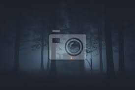 Um ein gruseliges baumkuchen haus selber zu machen, benötigst du zwei viereckige baumkuchen mit 20 cm seitenlänge. Gruseliges Haus Im Mysteriosen Horrorwald Nachts Fototapete Fototapeten Scarey Unruhig Mondlicht Myloview De