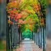 You are urged to change their background, but the thought of the technicalities makes you doubtful. 1