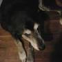 Profile Picture of Michael Barks - SoundCloudon Google