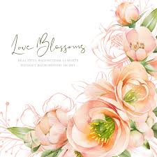 Sfondi partecipazioni rose in rilievo : Love Blossoms Hand Painted Clipart Watercolor Png Files Etsy Idee Acquerello Scrapbook Kit Etsy