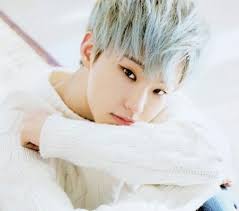 Seventeen's Mint Hair Colors