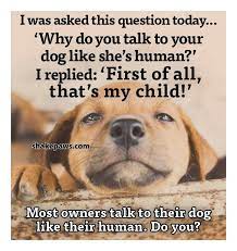 It can be difficult to have that conversation, in part because your dog doesn't know how to speak human. Shake Paws I M Always Talking To My Dogs Facebook